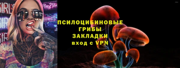 СК Абдулино