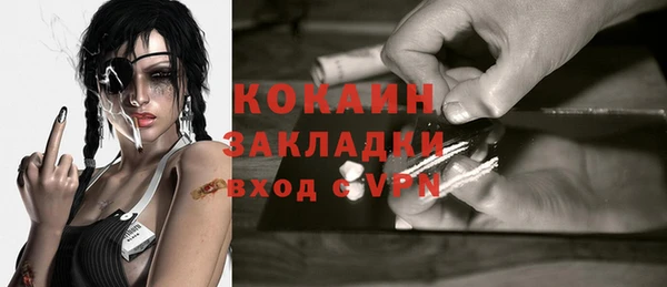 индика Ростов