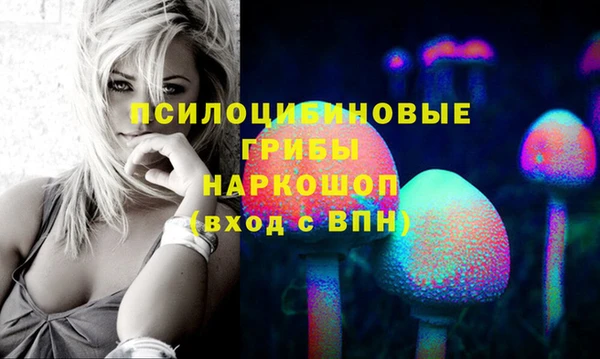СК Абдулино